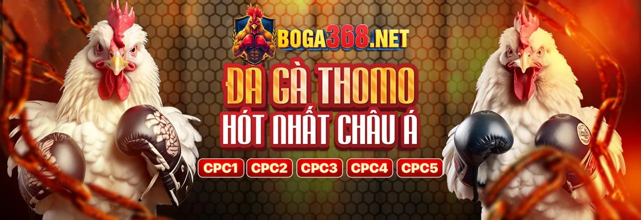 Hình ảnh tổng hợp các loại hình trò chơi và tỷ lệ hoàn trả tương ứng tại vi68
